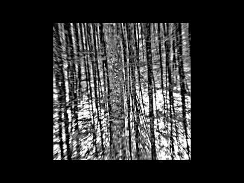 Pachyderme - Morning Glory (Stefny Remix) [SIC0290]