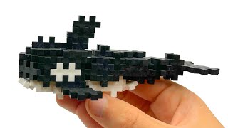 Orca