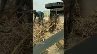 Download lagu Gud Kaise Banta hai#shorts #ytshort #delhifood #youtubeshorts #youtubeshorts mp3 Download lagu Gud Kaise Banta hai#shorts #ytshort #delhifood #youtubeshorts #youtubeshorts mp3