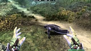 Blood is Life (Skyrim Mod) - Turn Followers into Vampires