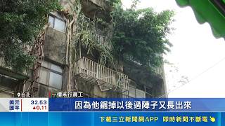北市信義區公寓"被樹根吞噬" 苦等都更20年露曙光 信義50年宅被樹包圍列"黃單建物" 1樓租戶:無法斷根 樹屋近五分埔.松山車站 專家看好新案單價150萬元起｜三立財經iNEWS