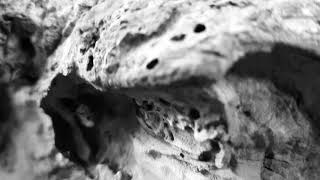 Human Head – “Monsterhouse”