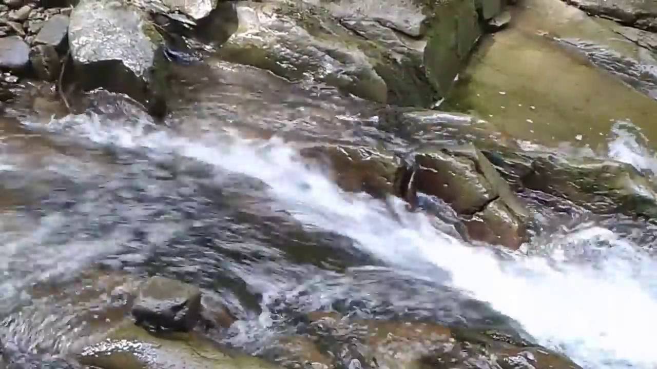 Полезное видео