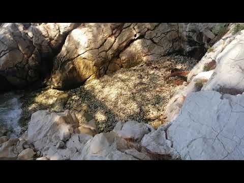 Smilje i bosilje Matar i komorač