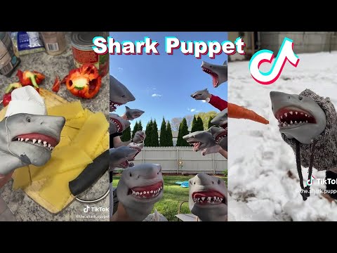 Best Shark Puppet TikTok Videos 2023 | Funny @SharkPuppet   TikToks Compilation