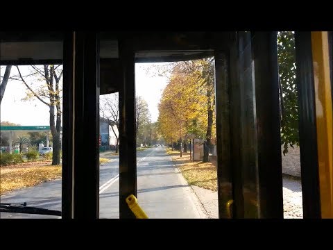 MPK Tarnów - linia 30, Jelcz 120MM/1 #246