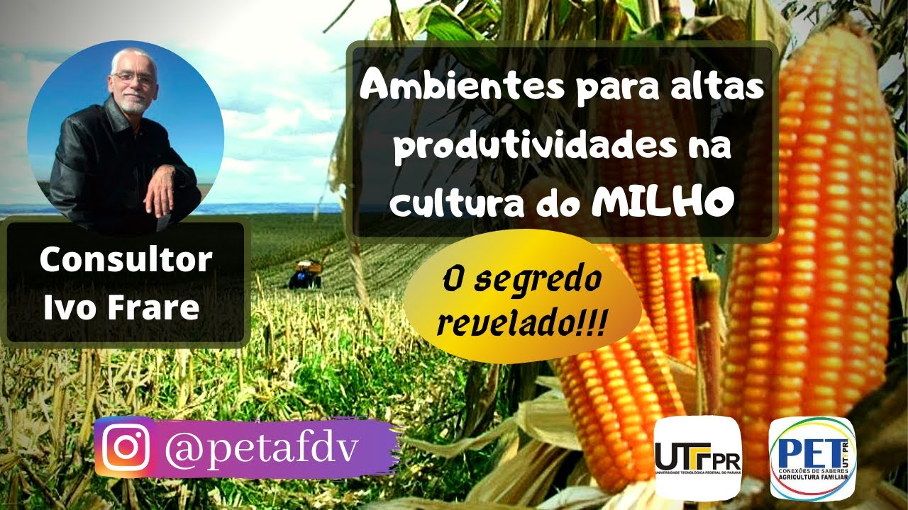 🟡 Ambientes para altas produtividades na cultura do milho, de uma forma DESCOMPLICADA!!!!