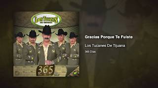 Gracias Porque Te Fuiste - Los Tucanes De Tijuana [Audio Oficial]