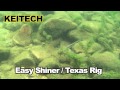 Keitech Easy Shiner 4.5 Gummifische 11,3cm - 7,3g - Green Pumpkin/Chartreuse - 6Stück