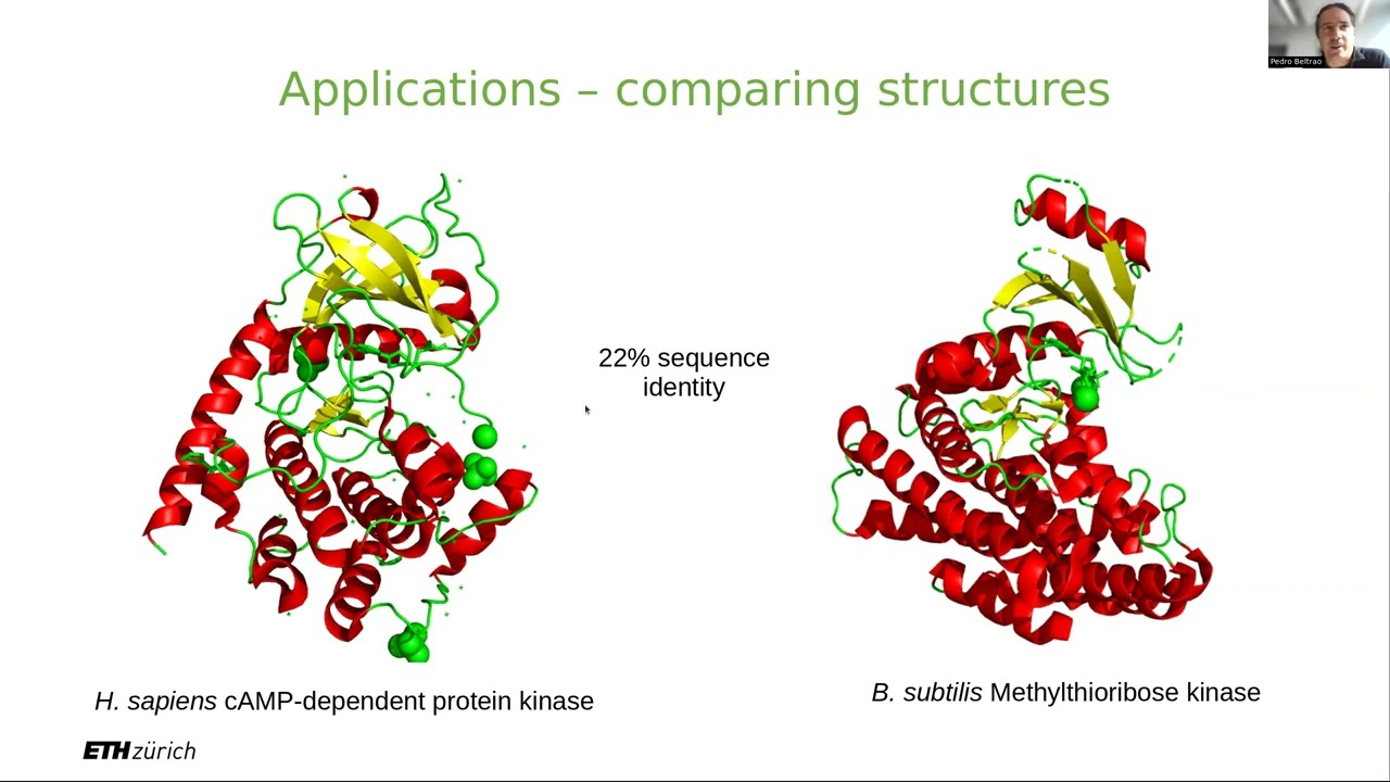 PTB - Structural Bioinformatics 1