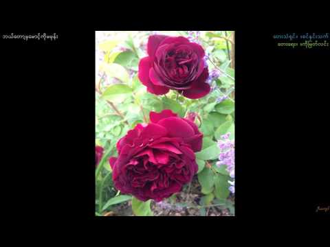 Khin Hnin Thet-"Bal Tawt Hma Maung Ko Ma Mone'