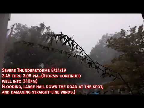 Insane Lightning and Wicked Storms 8/14/19..Wet Microbursts Cause Wind Damage Around the Area