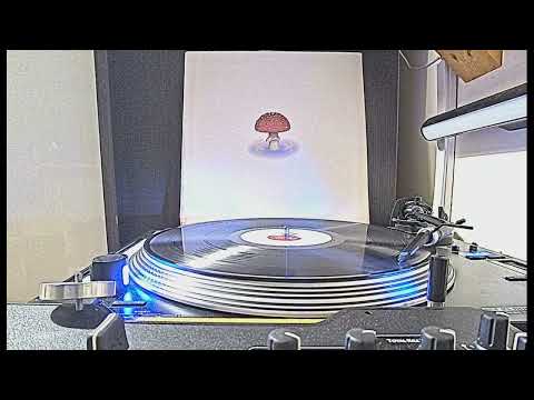 "Midnight calling" Naked Funk