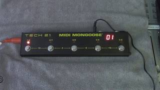 Video thumbnail for Tech 21 MIDI Mongoose by Tech21nyc