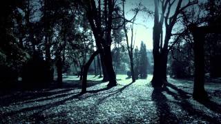 Cada Mañana - Vicente Fernandez