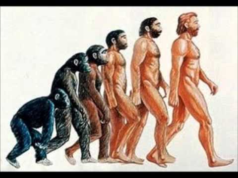 Planeta dos macacos video