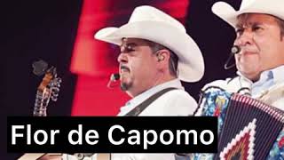 Flor de Capomo - Pesado