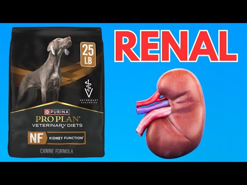 Purina Pro Plan Veterinary Diets NF Kidney Function HONEST REVIEW