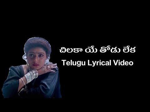 Chilaka Ye Thodu Leka Telugu Lyrics Video | Subhalagnam | Sirivennela | S.V.Krishnareddy