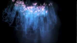 Pat Metheny Cathedral in a Suitcase