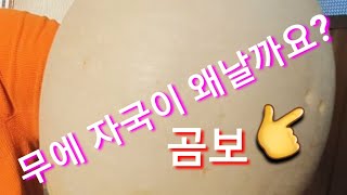 김장무에 곰보 자국이 생기는 이유