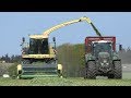 Krone Big X 630 Working Hard in The Field Chopping Straw w/ EasyFlow 380S Pickup | DK Agri