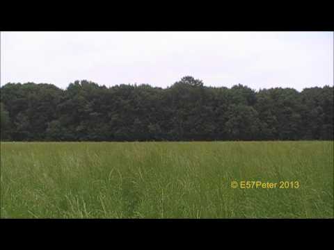 Schauriger Luftalarm einer Pressluftsirene HLS273 - Sirenenprobe Köln