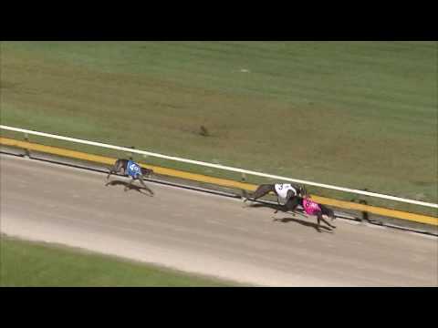 Albion-Park-25052017-Race-7