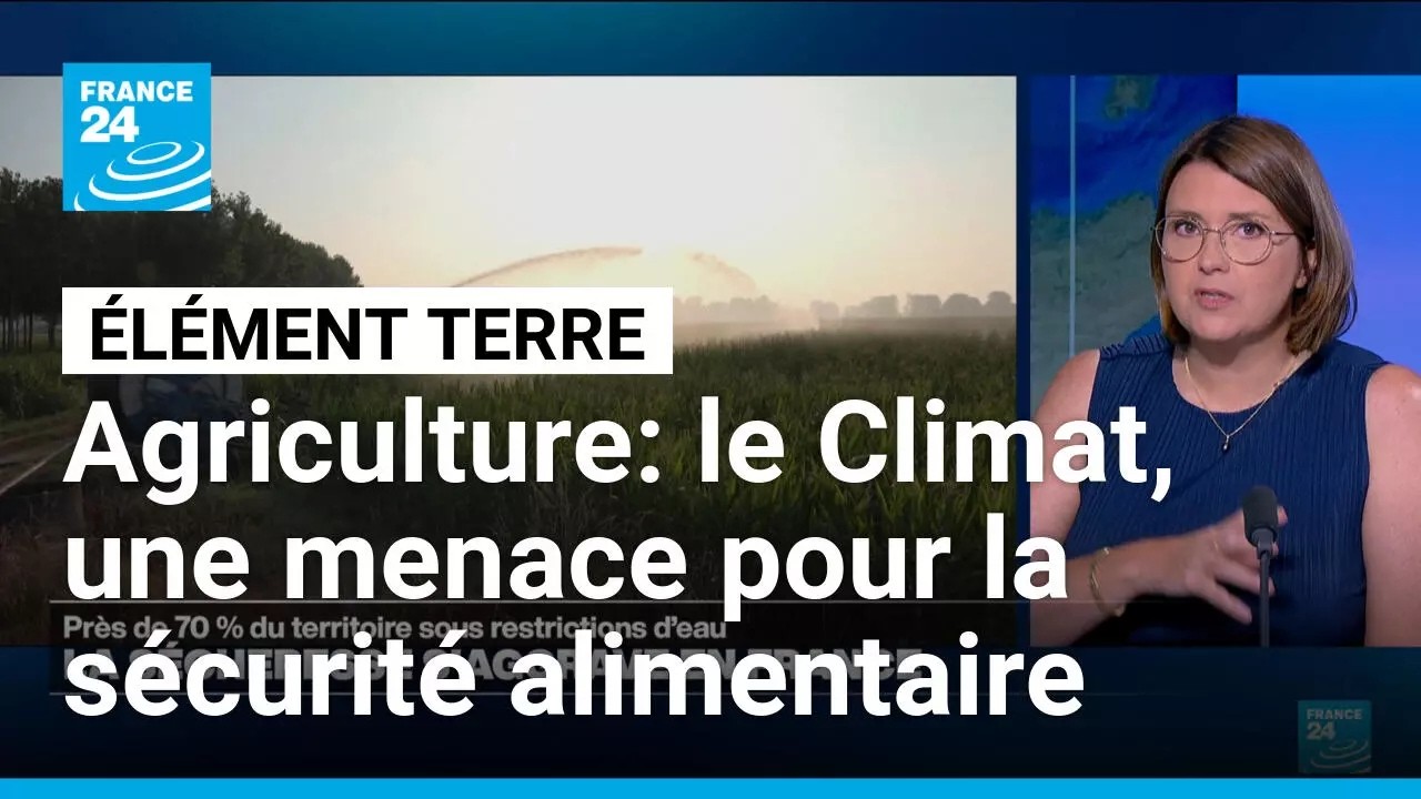 Illustration: Sécheresse : l'agriculture française perd jusqu'à 100% de ses récoltes — et l'État improvise