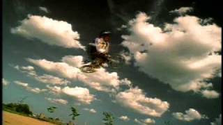 Bliss - Butterflies