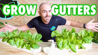 Cheap & Easy DIY Hydroponic Grow Gutters