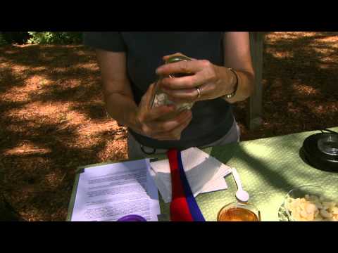 download lagu mp3 mp4 Freezing Garlic Scapes, download lagu Freezing Garlic Scapes gratis, unduh video klip Freezing Garlic Scapes