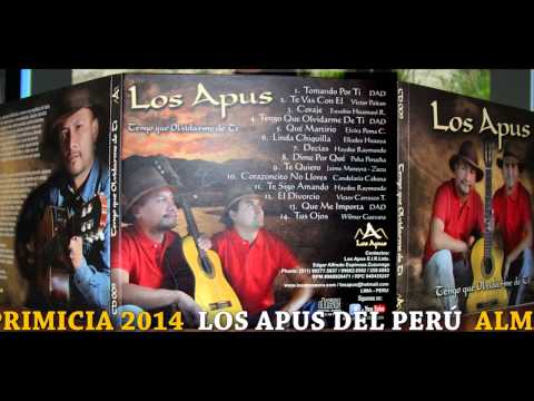 Te Sigo Amando - Los Apus