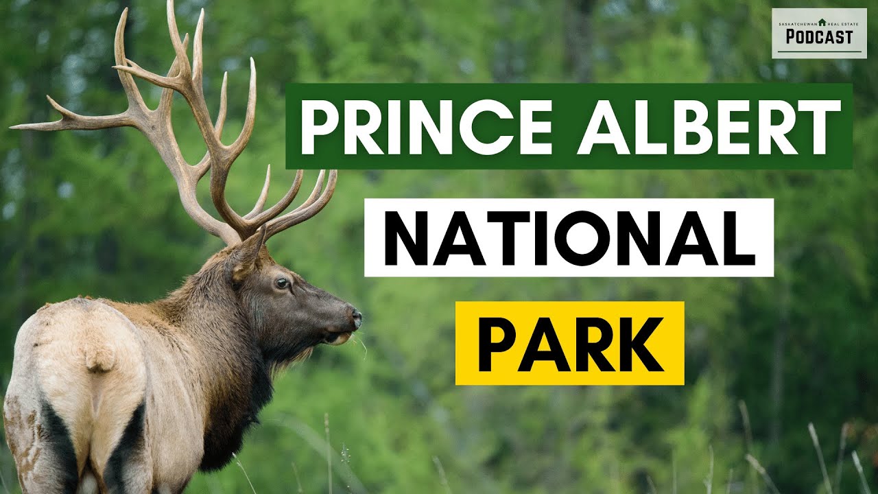 Prince Albert National Park