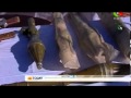 Al-Qaeda Is Alive And Well - YouTube
