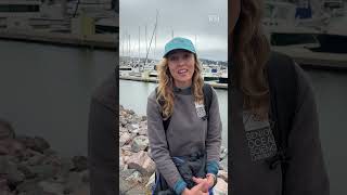 Thumbnail for Scientists Use AI Detectors to Protect Gray Whales in San Francisco | WSJ