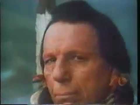 Still frame from The Crying Indian ("People Start Pollution. People Can Stop It.") (Keep America Beautiful / Ad Council, 1971)