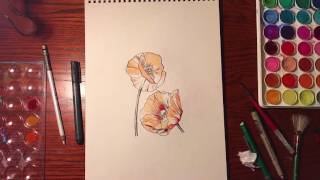 Orange Poppies - Watercolor Timelapse