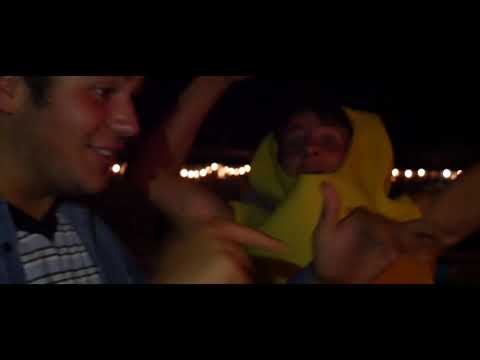 Lost dogs and Lifeguards