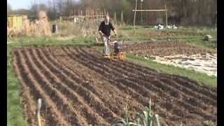 From seed to loaf (part 1 of 2) allotment scale production of bread making wheat