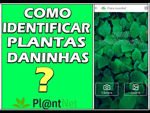 , title : 'Como identificar plantas daninhas com o Plant Net'