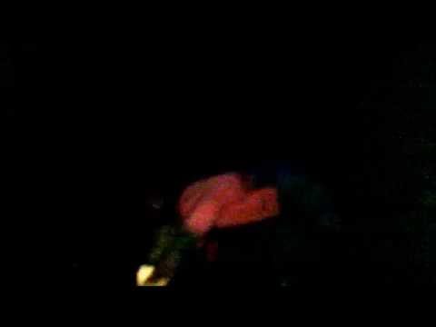 Elektrik Boy @ Melides (Private Party)