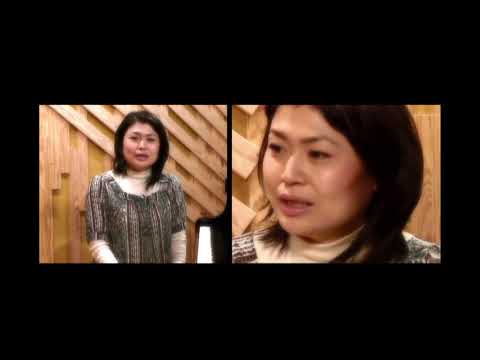 Michiru Yamane - 2010 Composer Interview (Eng Subtitles)