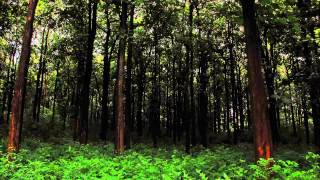 Emerna - No One 1642