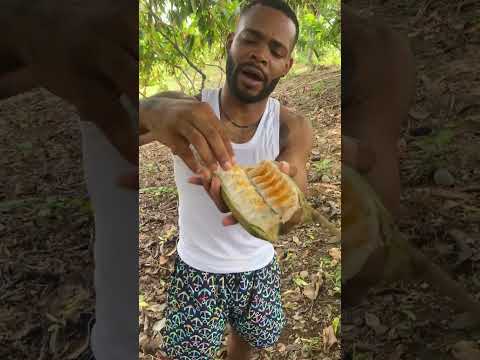 La Guaba #ecuatorianosenusa #ecuatorianosenelmundo #ecuador #comida #frutas #balzar #guayas #food