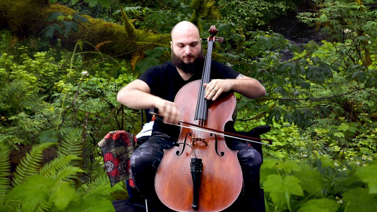 Promotional video thumbnail 16 for Lepard String Duo
