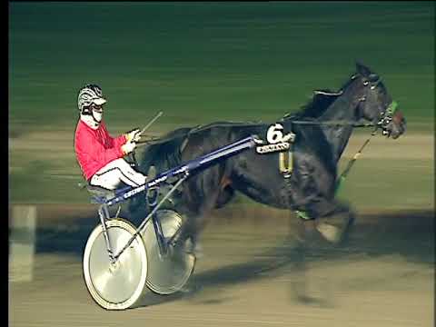 Trotto 19/11/2017 - 6ª corsa