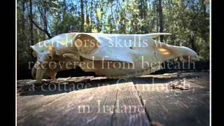 Pagan Horse Skulls, Ritual Sacrifice &amp; Eating Equine Flesh