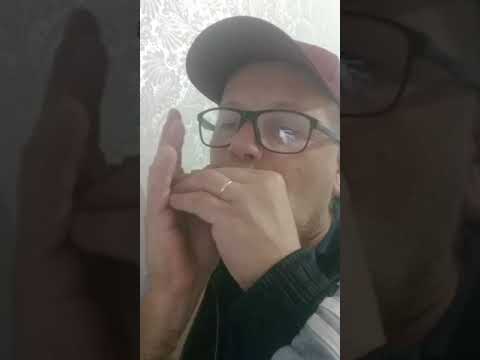 Se isso não for amor - Gaita em C