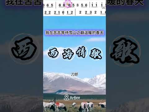 西海情歌 刀郎 #音樂 #lyrics #vocals #動態歌詞 #動態簡譜